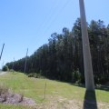 The Future of Public Utilities in Rural Areas of Leon County, Florida