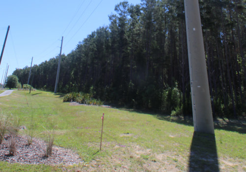 The Future of Public Utilities in Rural Areas of Leon County, Florida